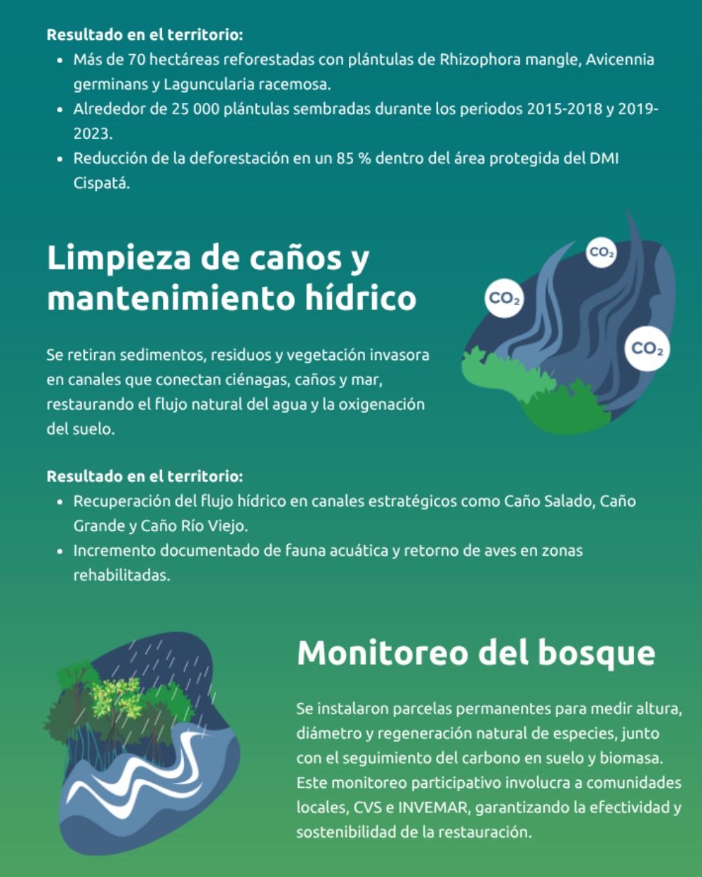 Slide 2 infografía 5